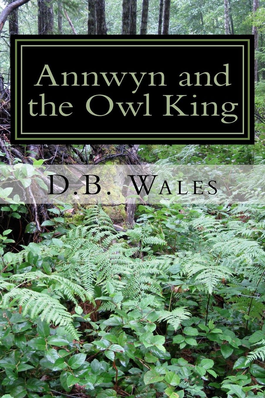 Annwyn and the Owl King