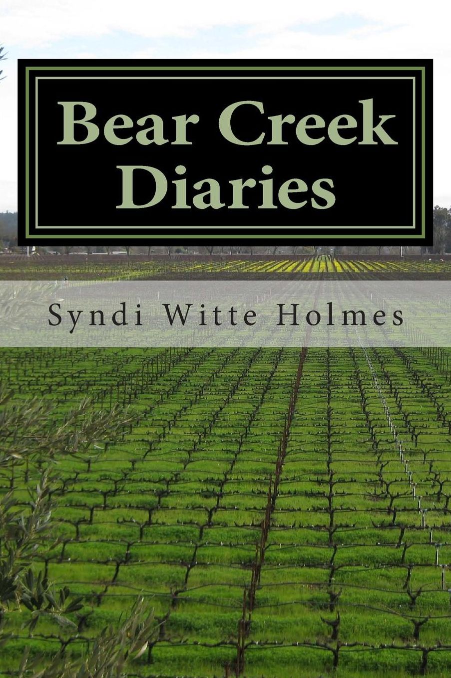 Bear Creek Diaries: Poems along a country road in North Carolina