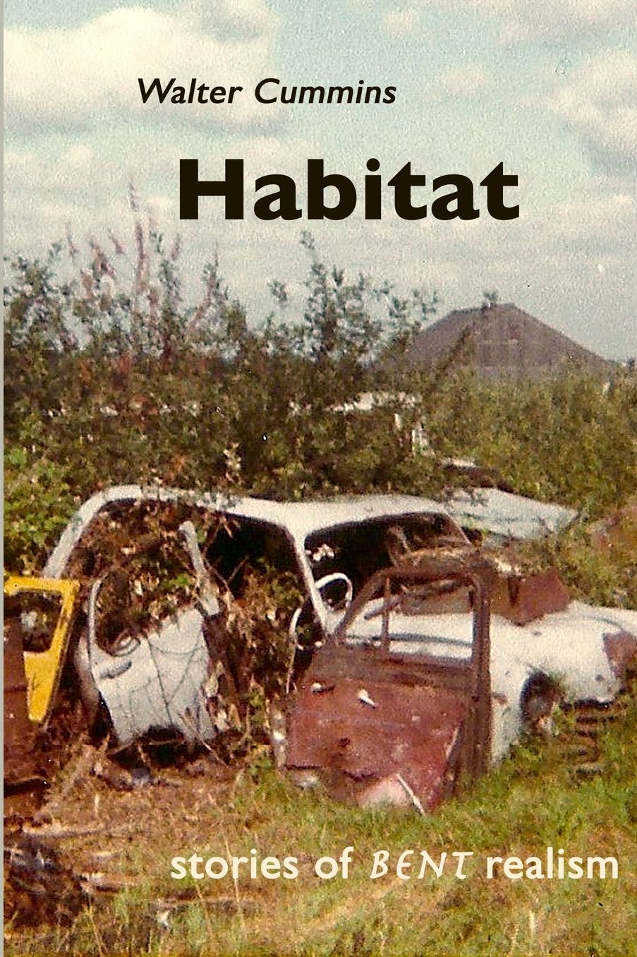 Habitat: Stories of Bent Realism