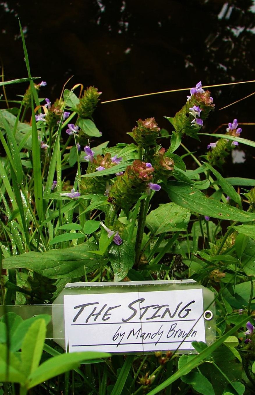 The Sting