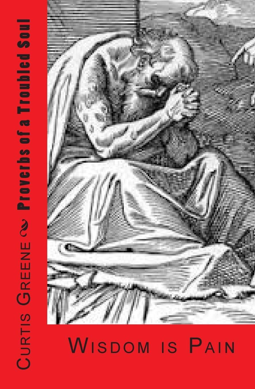 Proverbs of a Troubled Soul: Wisdom Is Pain