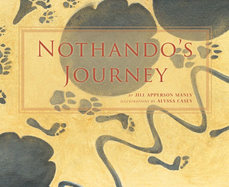 Nothando's Journey