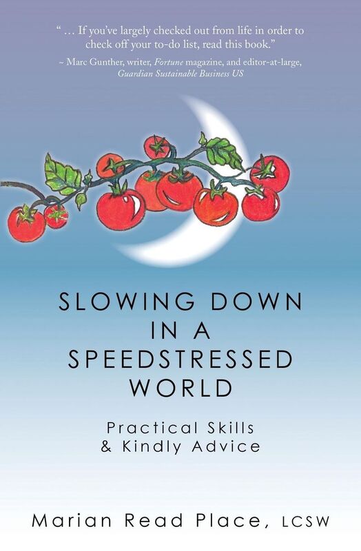 Slowing Down in a Speedstressed World: Practical Skills & Kindly Advice