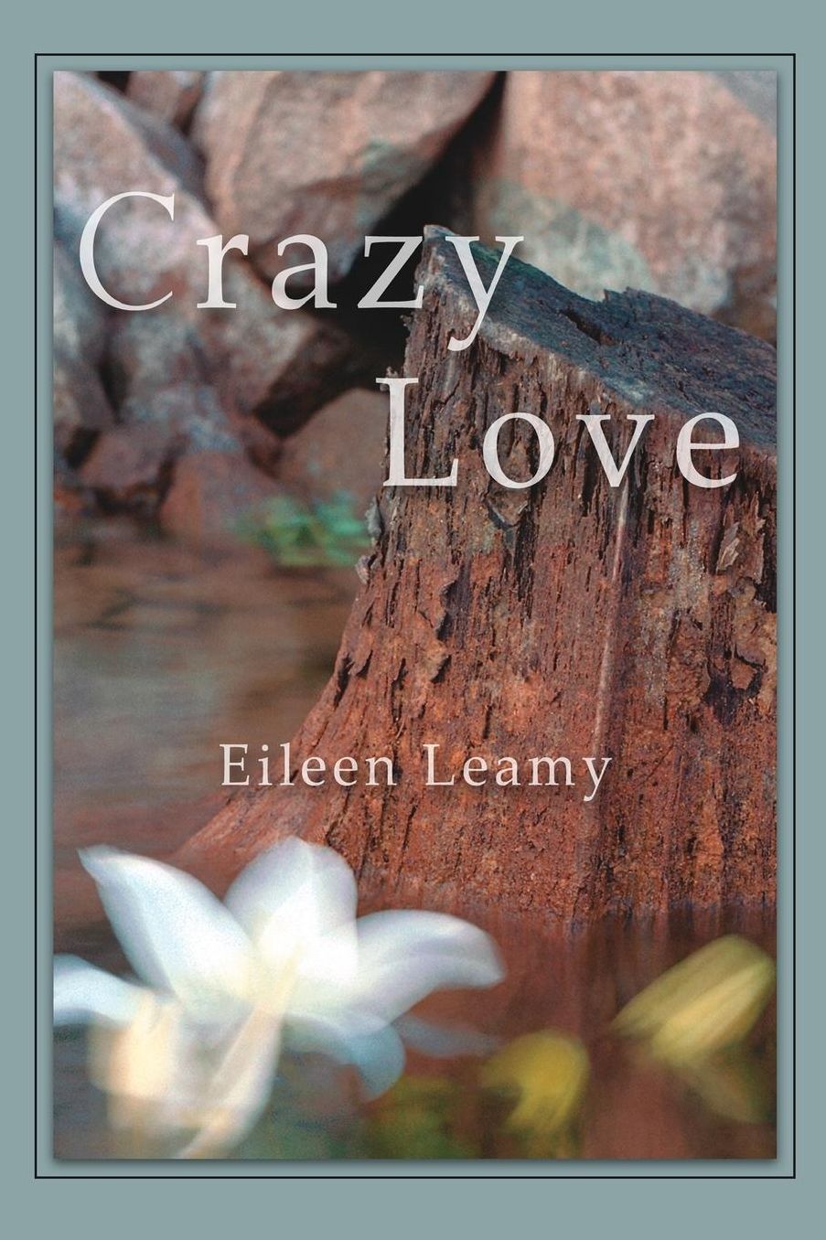 Crazy Love