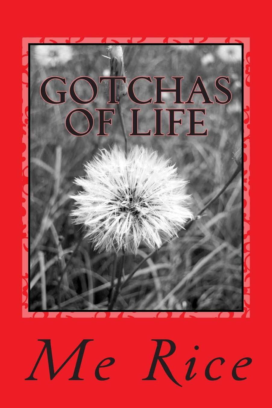 Gotchas of Life