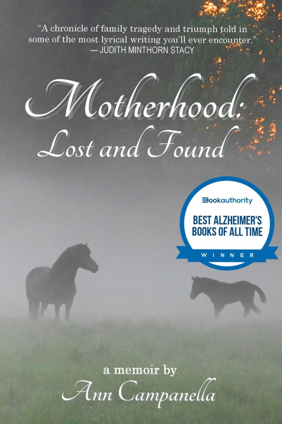 Motherhood: Lost and Found: A memoir