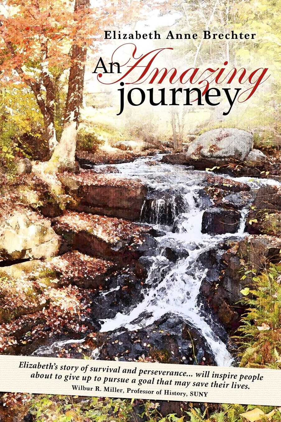 An Amazing Journey