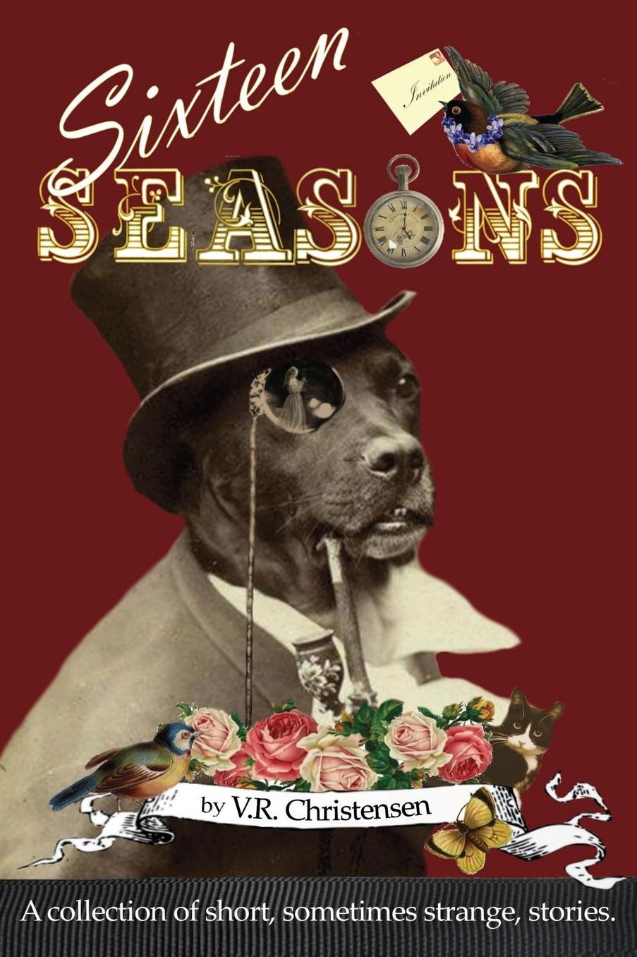 Sixteen Seasons: A collection of short, sometimes strange, stories.