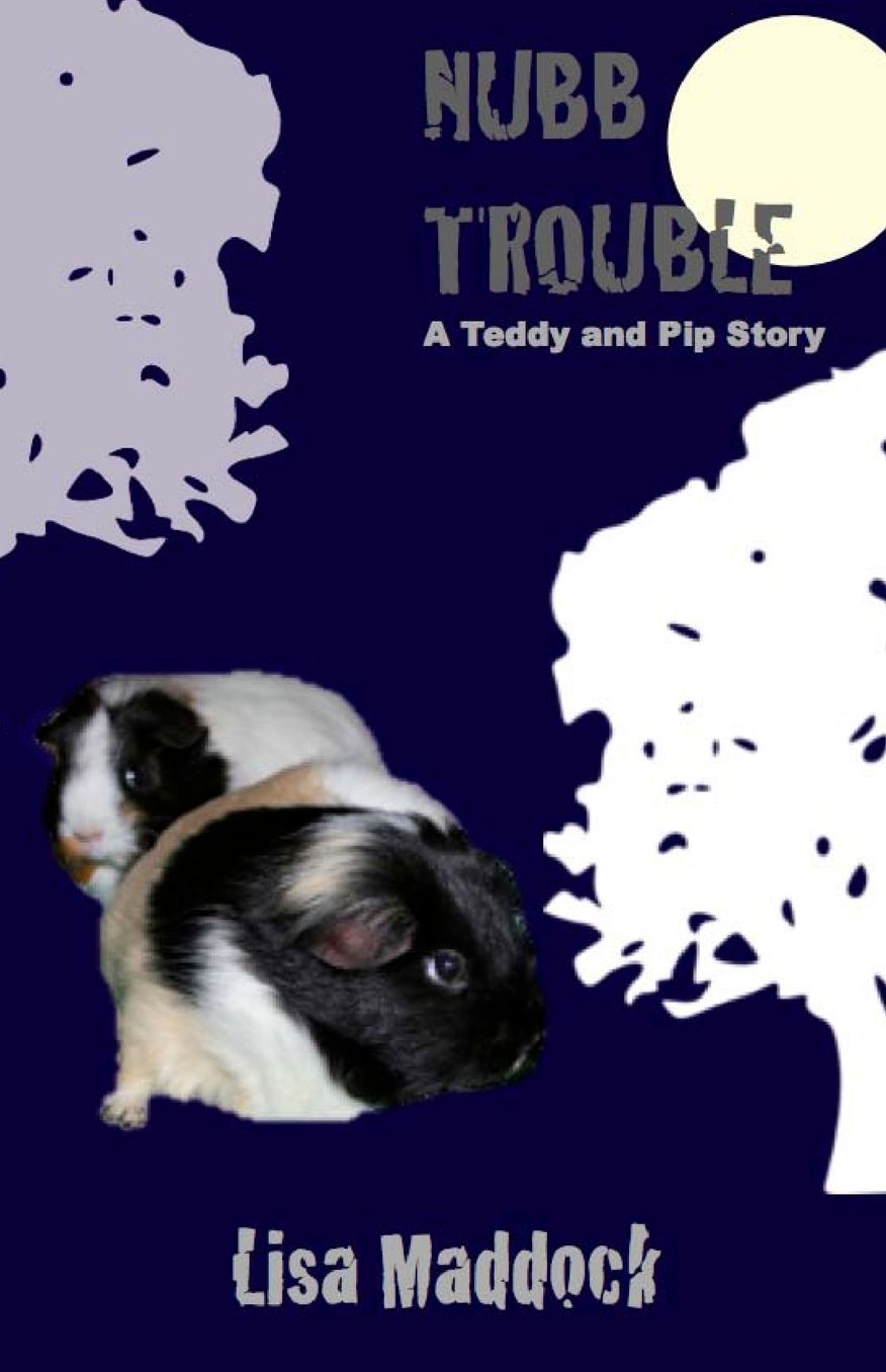 Nubb Trouble: A Teddy and Pip Story
