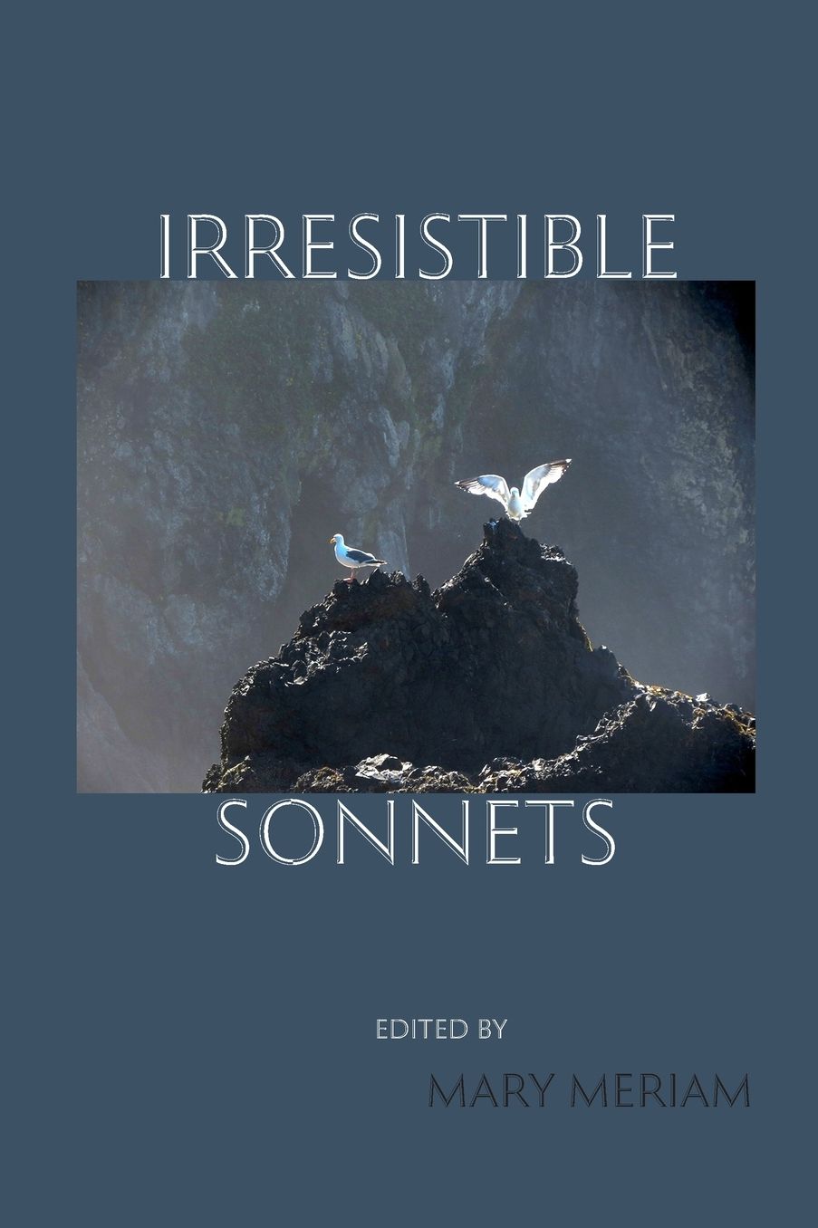 Irresistible Sonnets