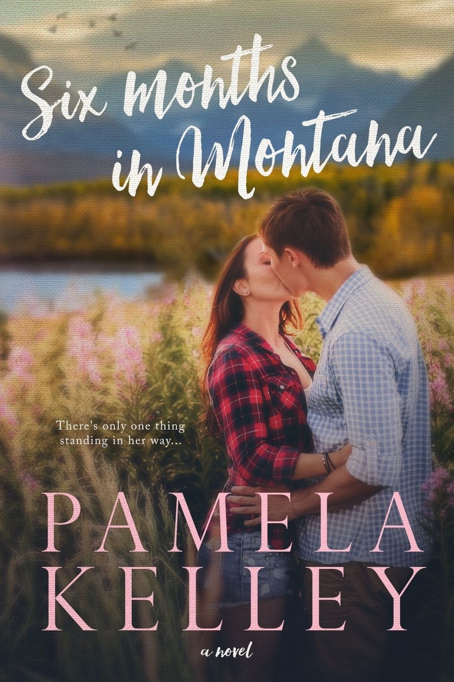 Six Months in Montana (Montana Cozy Romance Series #1)