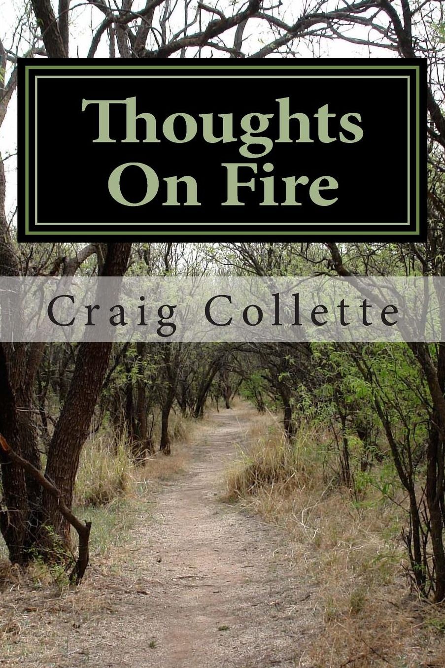 Thoughts On Fire: A Collection of Poems From The Road of Life
