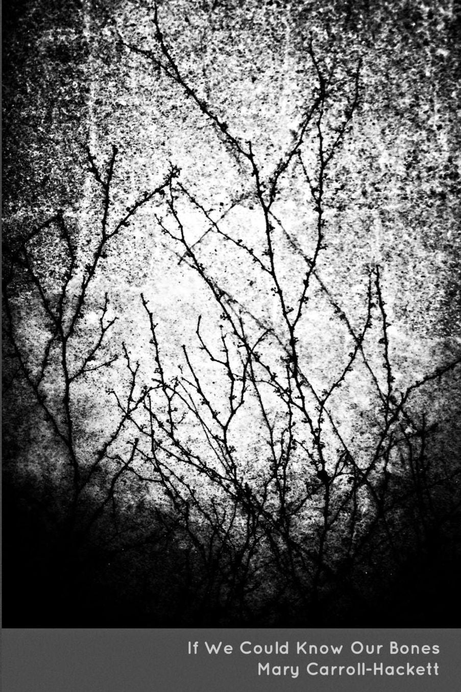 If We Could Know Our Bones