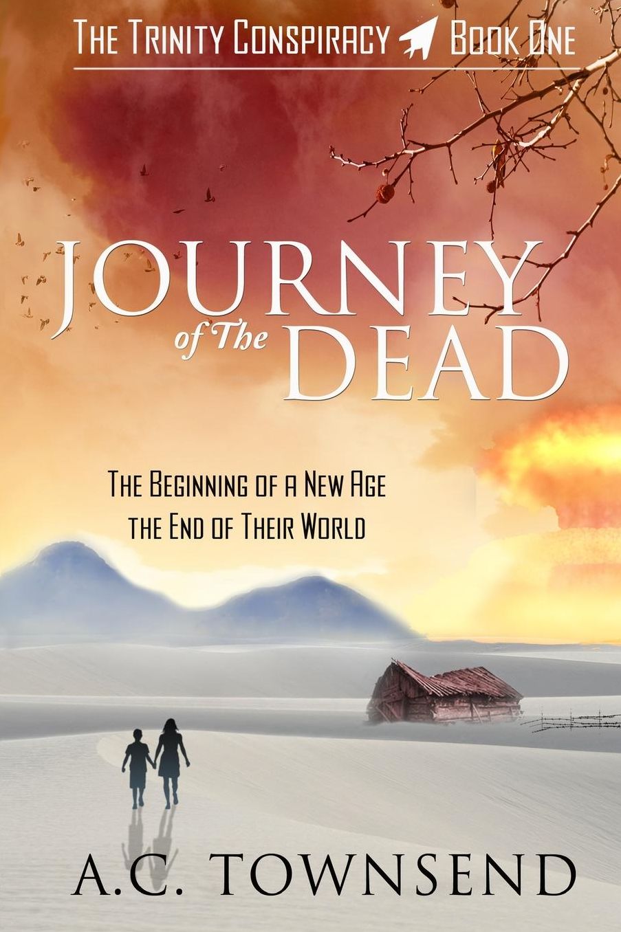 Journey of The Dead: The Trinity Conspiracy ~ Book One