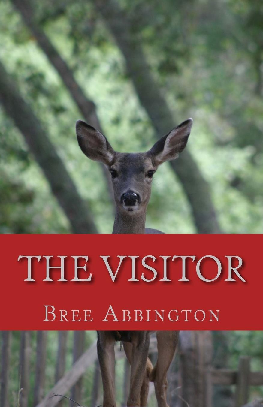 The Visitor: Gifts in Strange Wrappings