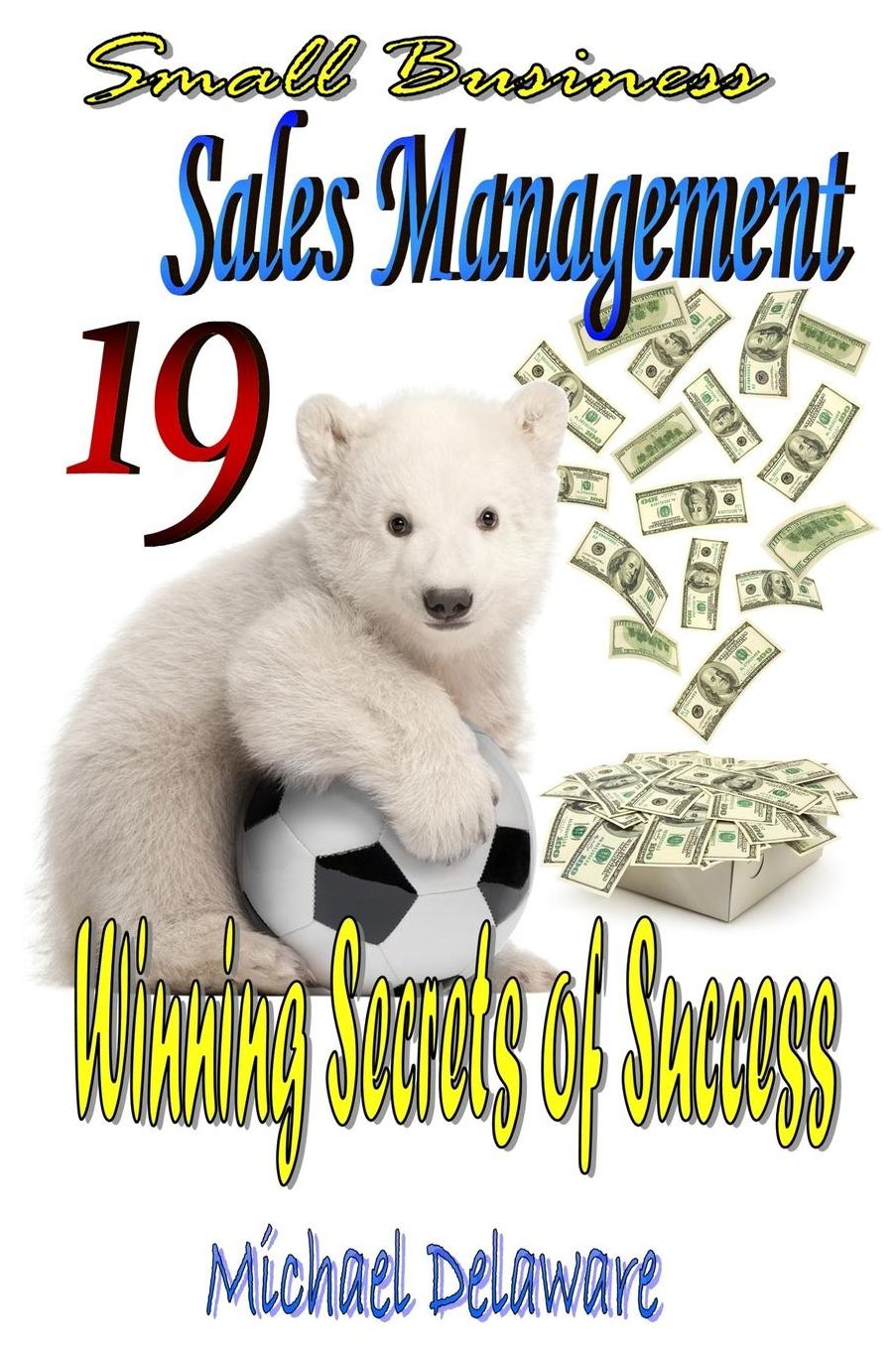 Small Business Sales Management: 19 Winning Secrets of Success
