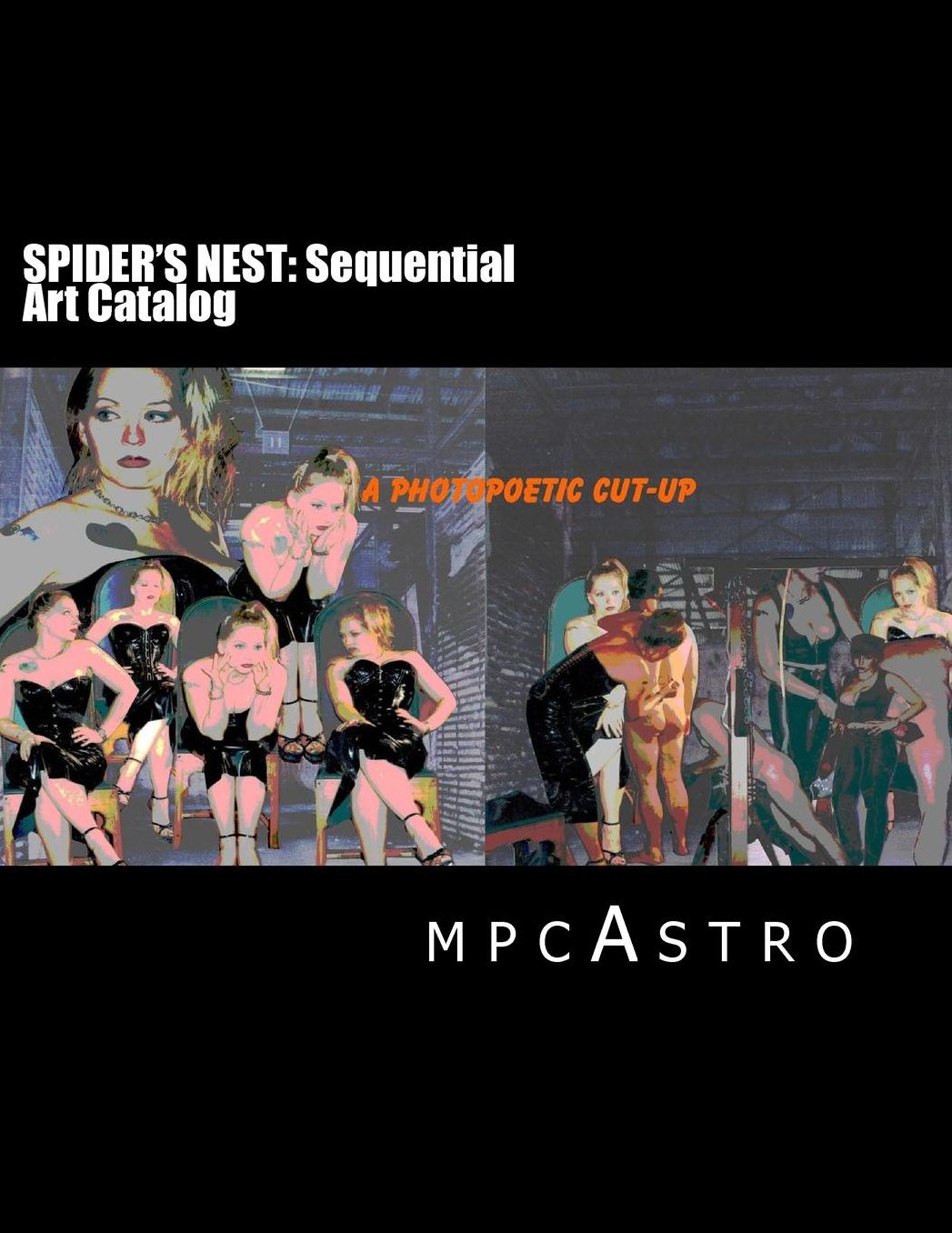 SPIDER'S NEST Sequential Art Catalog: a photopoetic cut-up