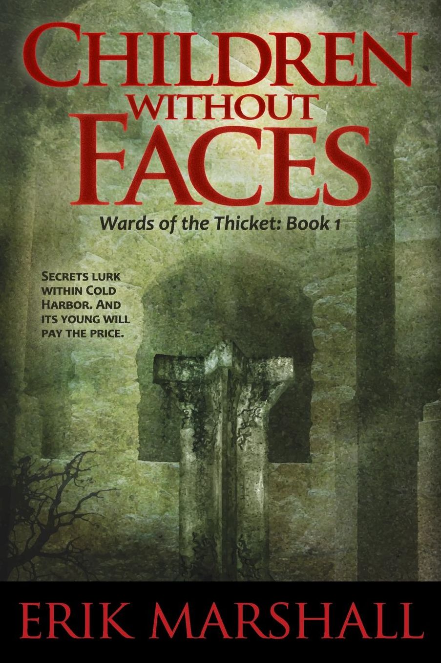 Children Without Faces: A Novel of the Roughlands