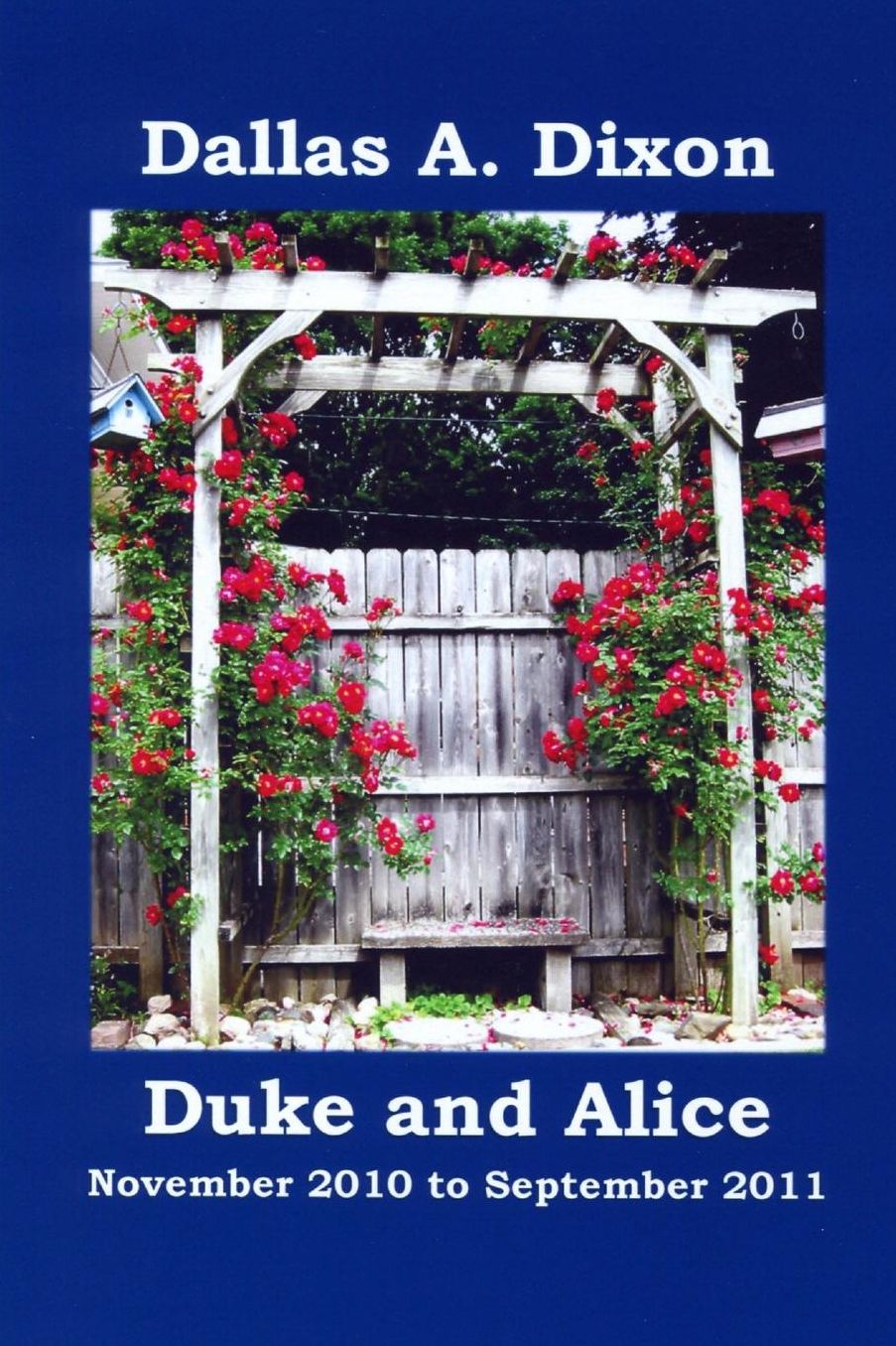 Duke and Alice: November 2010 to September 2011