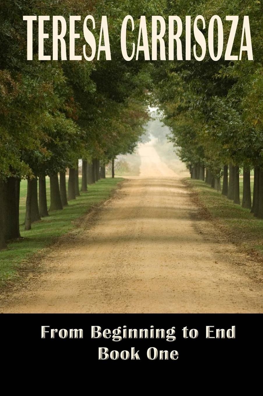 From Beginning to End: Book One