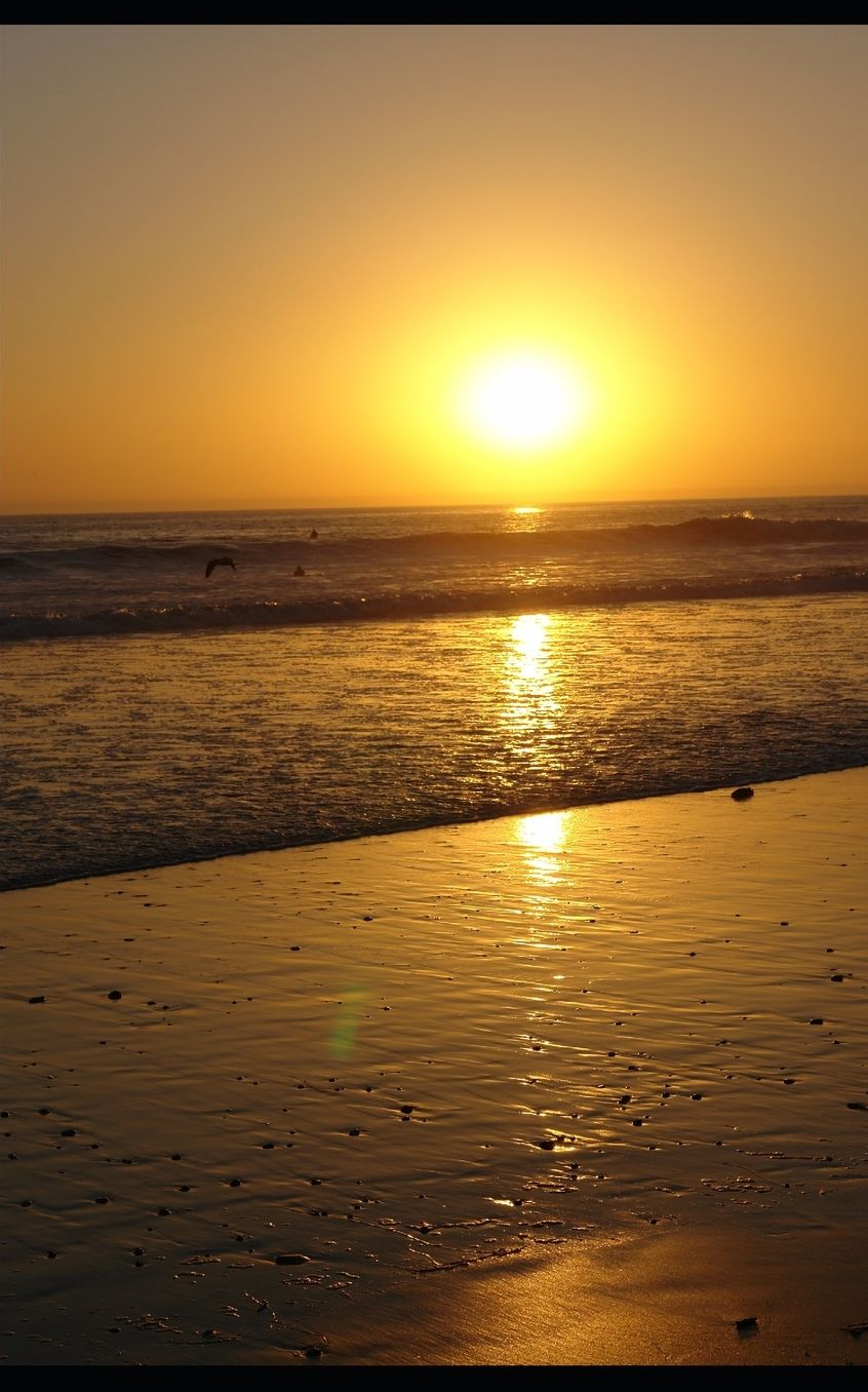Now Is The Time: God Has A Plan For You