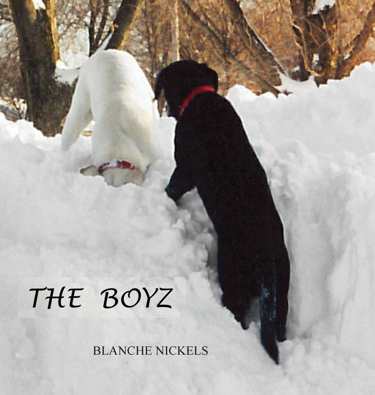 The Boyz