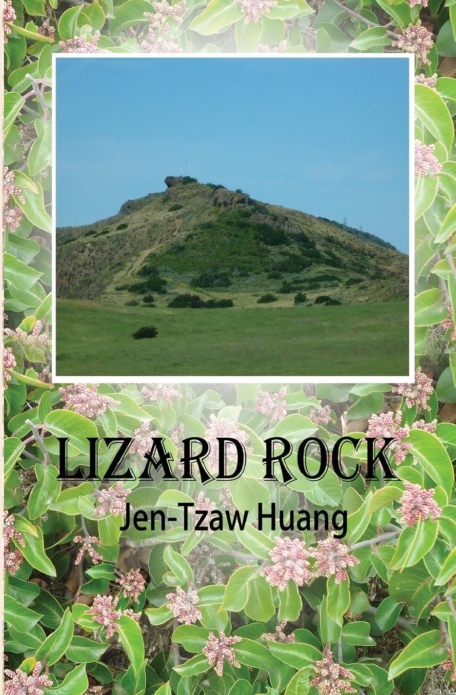 Lizard Rock