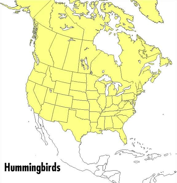 A Peterson Field Guide to Hummingbirds of North America