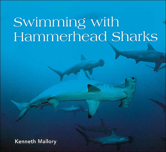 Swimming with Hammerhead Sharks