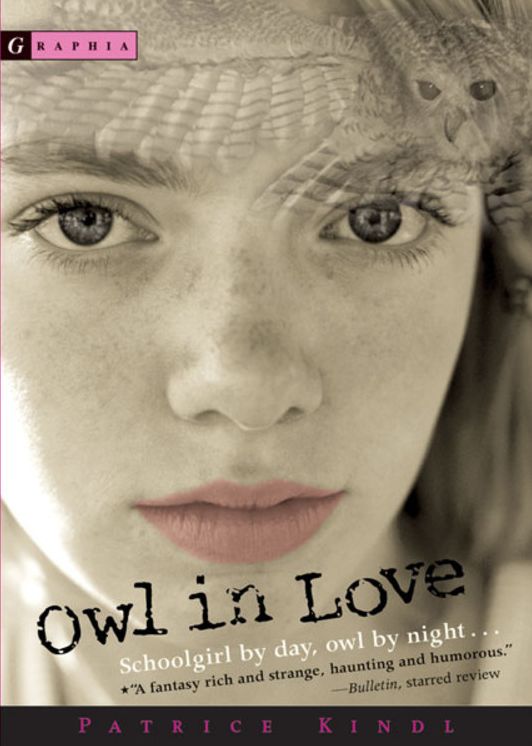 Owl in Love