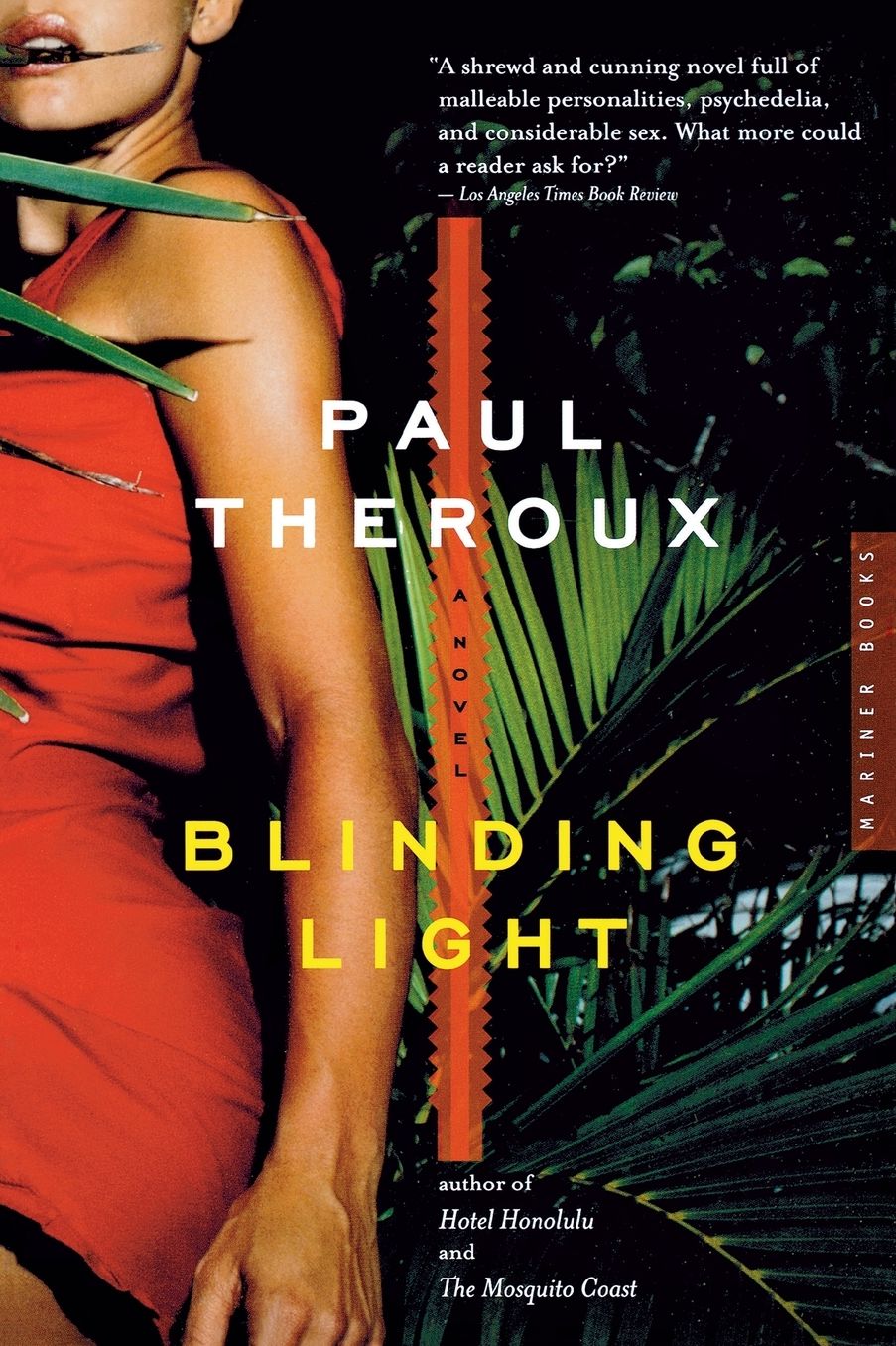Blinding Light: A Novel