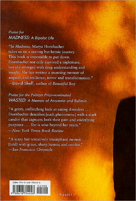 Madness: A Bipolar Life