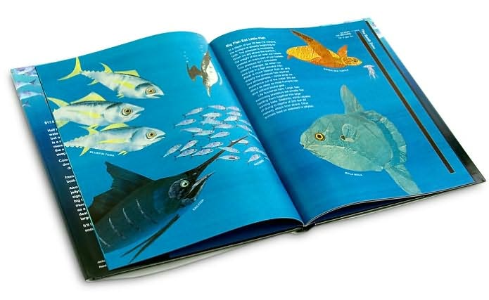 Down, Down, Down: A Journey to the Bottom of the Sea