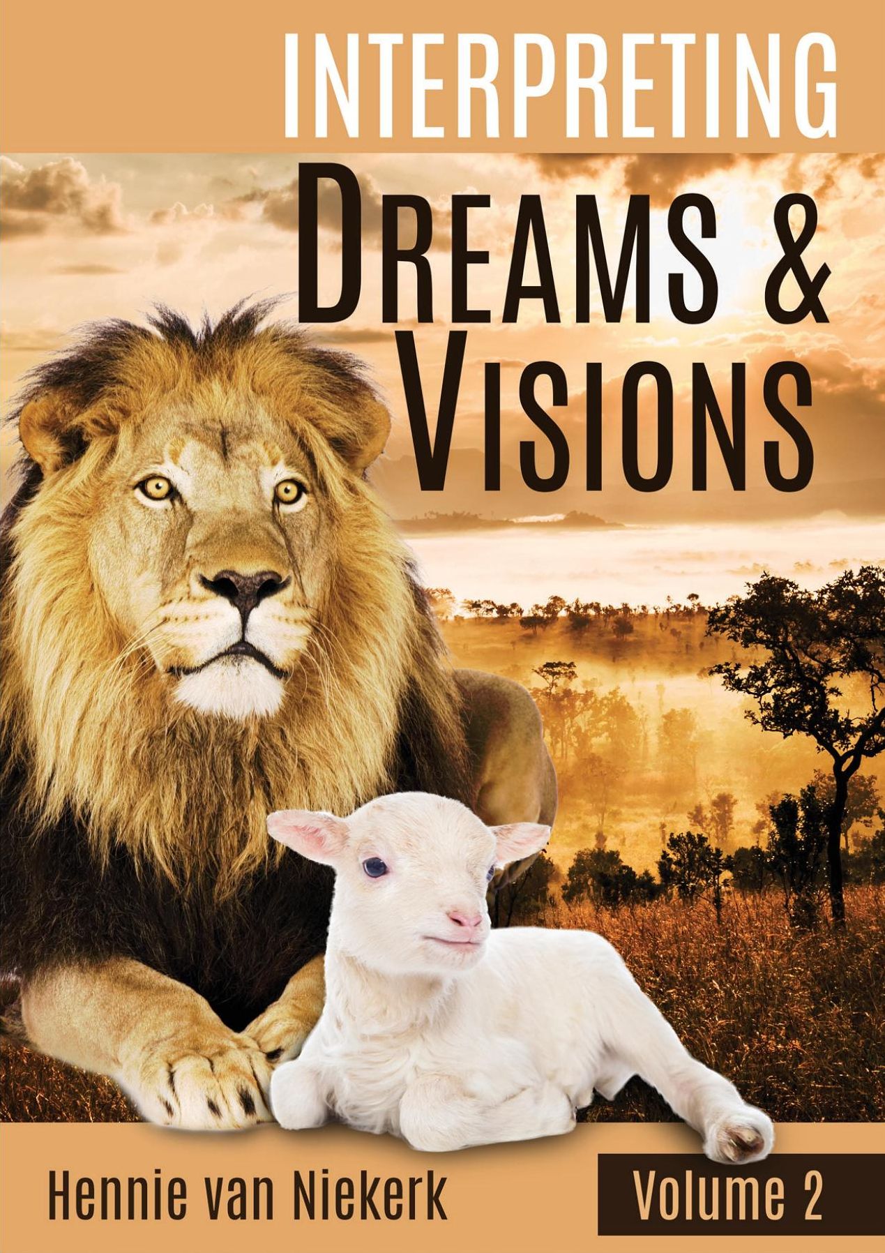 Interpreting Dreams And Visions: Volume 2