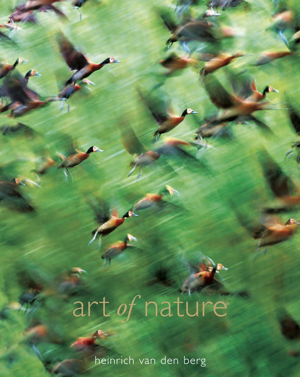 Art of Nature