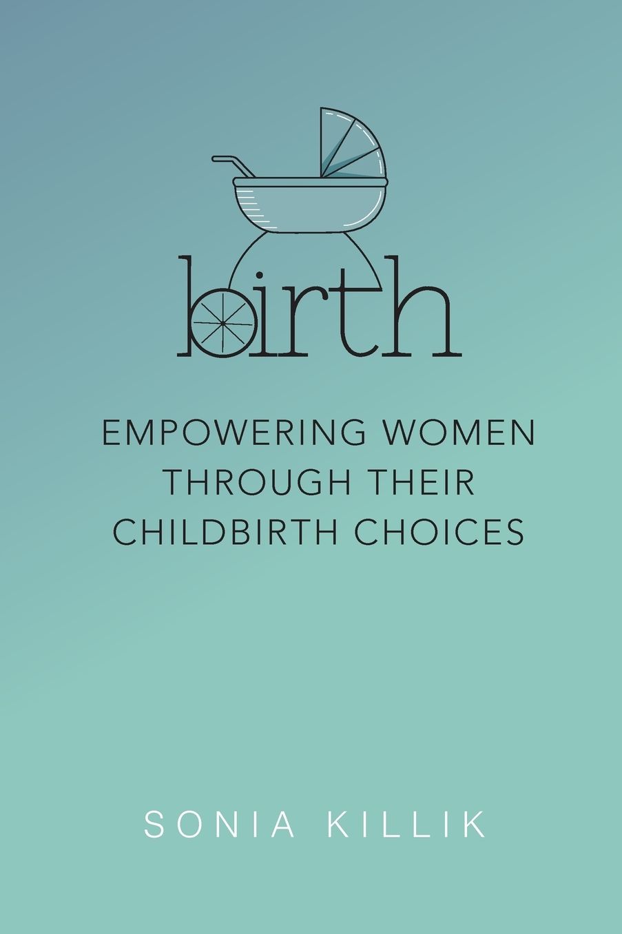 Birth: An Honest Guide to Natural, Epidural & Caesarean Choices