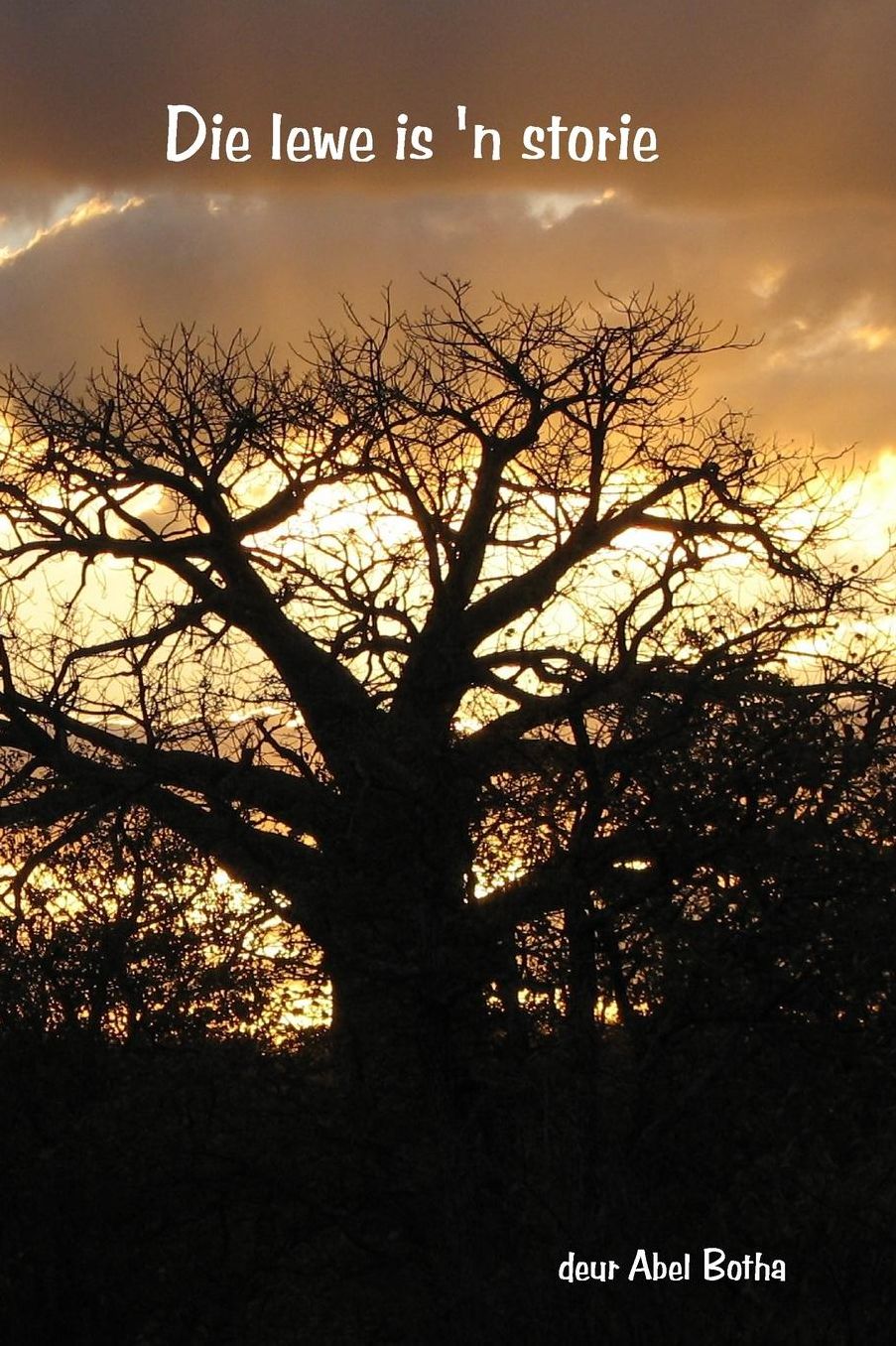 Die Lewe Is 'n Storie