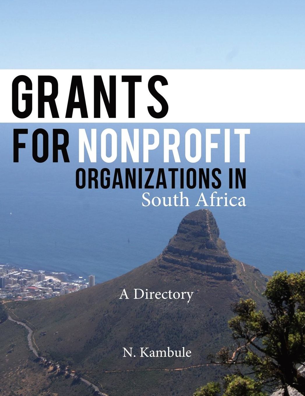 Grants for Nonprofit Organizations in South Africa: A Directory