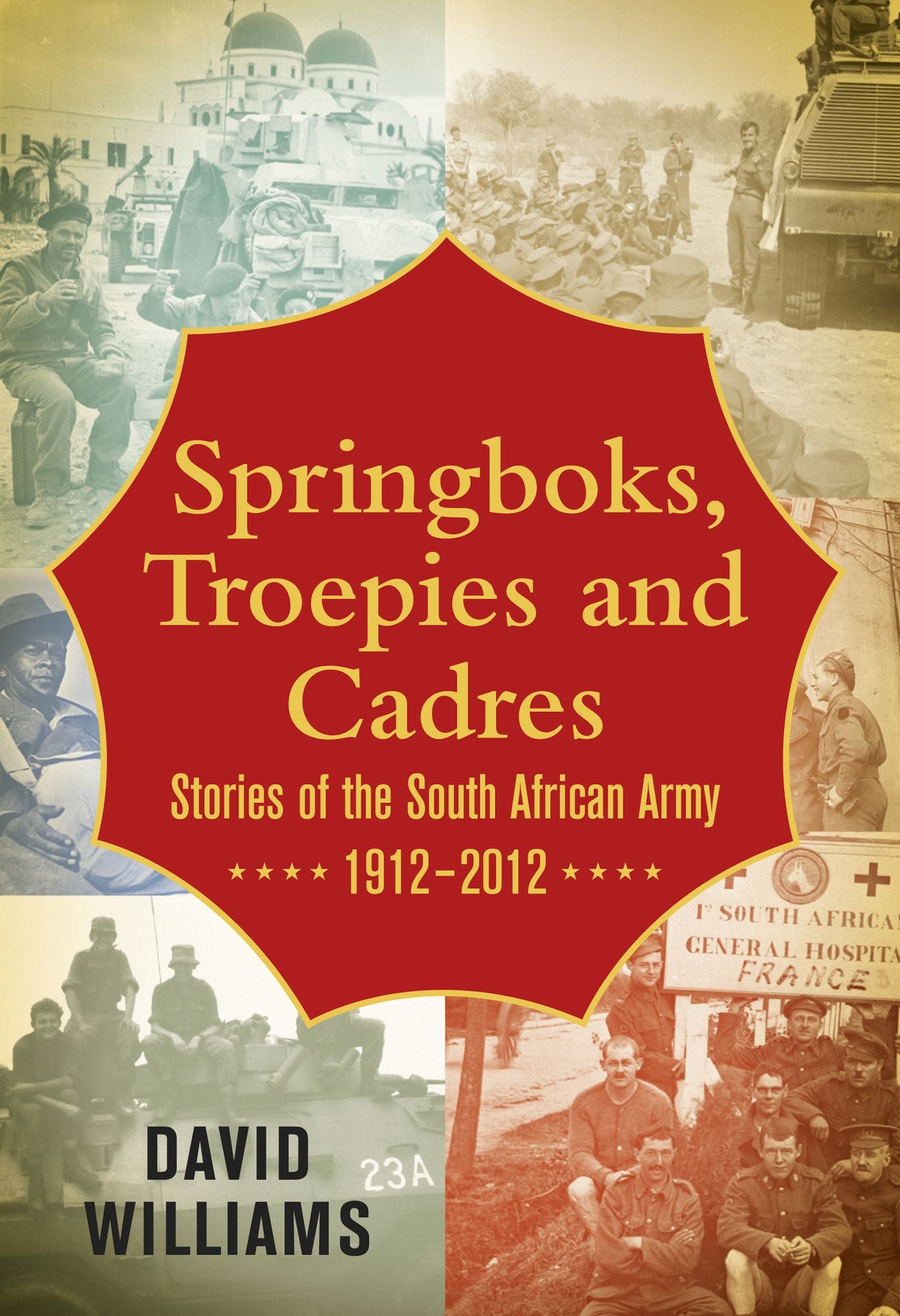 Springboks, Troepies and Cadres: Stories of the South African Army, 1912-2012