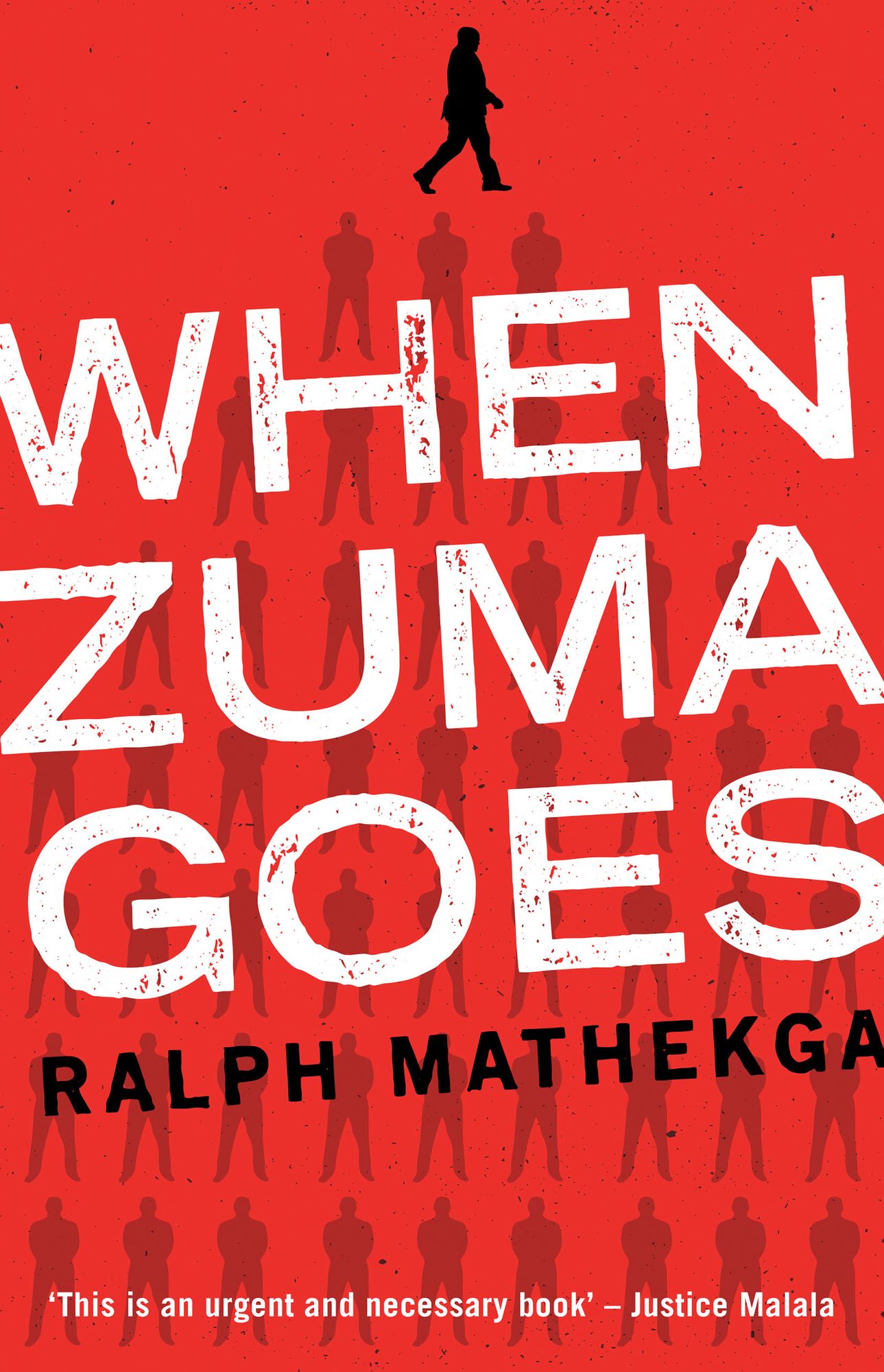 When Zuma Goes