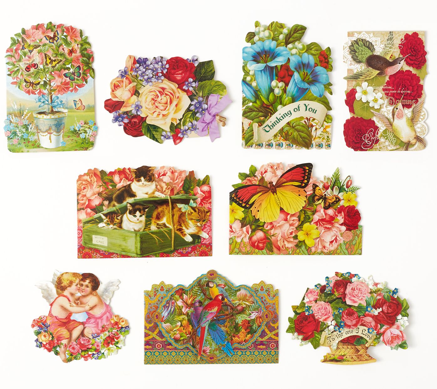 Ephemera Boxed Notecards -Set of 24 Assorted