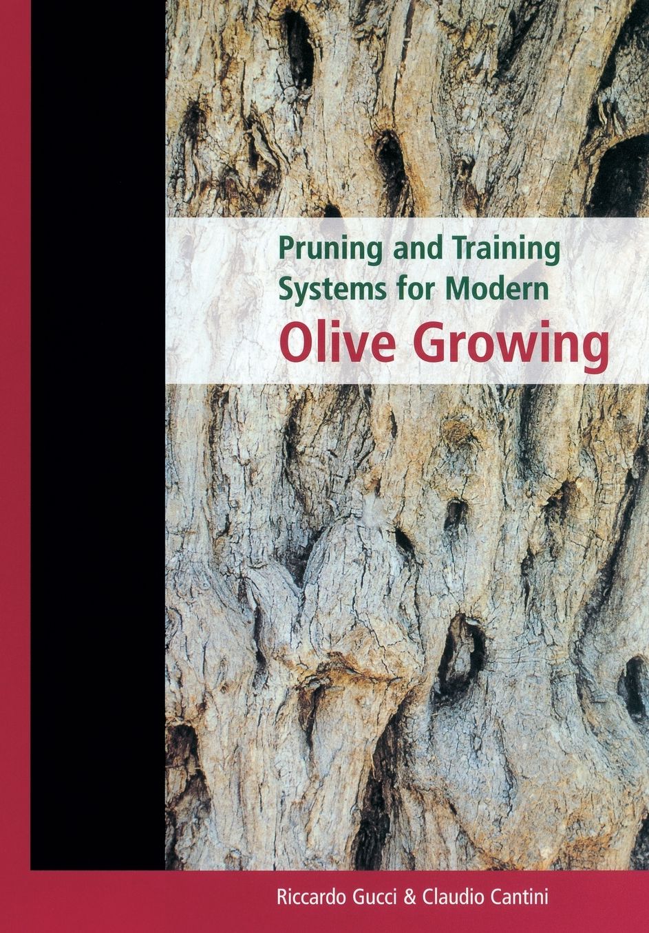 Pruning and Training Systems for Modern Olive Growing