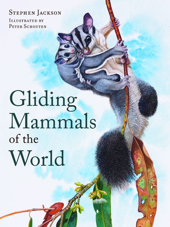 Gliding Mammals of the World [OP]