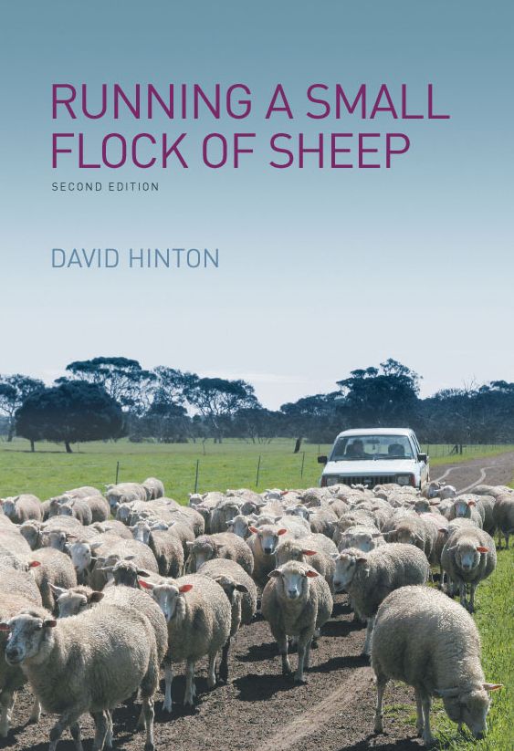 Running a Small Flock of Sheep
