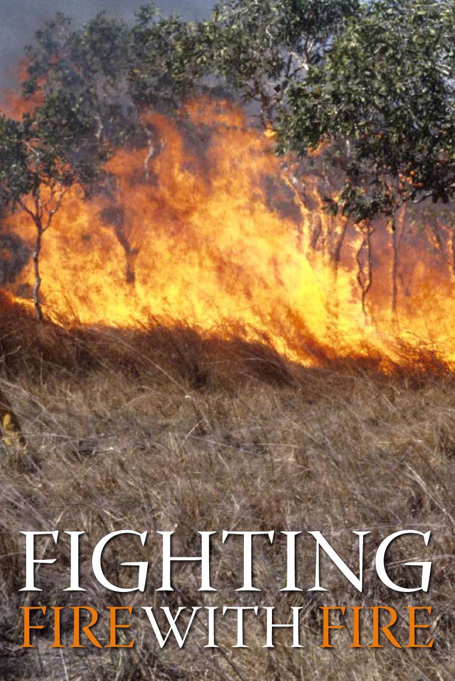 Burning Issues: Sustainability and Management of Australia's Southern Forests