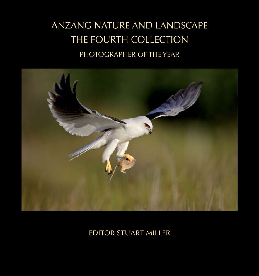 ANZANG Nature and Landscape, The Fourth Collection: Photographer of the Year Competition