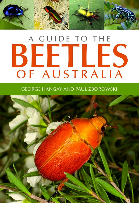 A Guide to the Beetles of Australia