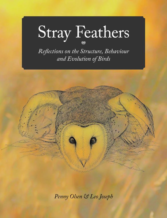 Stray Feathers [OP]: Reflections on the Structure, Behaviour and Evolution of Birds