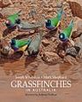 Grassfinches in Australia