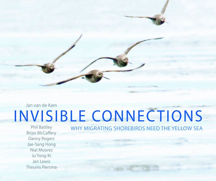 Invisible Connections: Why Migrating Shorebirds Need the Yellow Sea